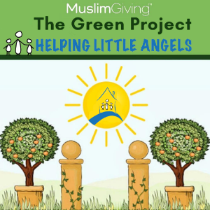 The Green Project