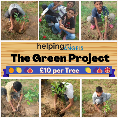 The Green Project