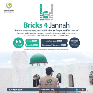 Bricks 4 Jannah